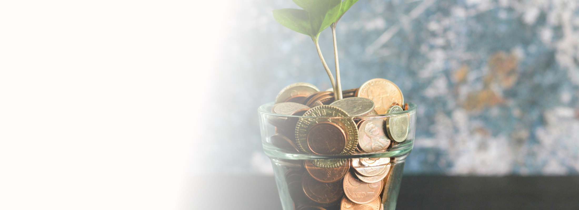 Plant growing from coins representing purposeful growth at DBS Bank